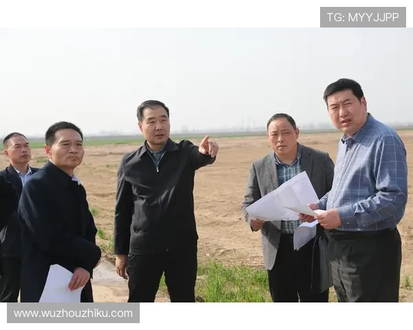 网民如何高效访问大阳城集团官网的各项服务 网民如何高效访问大阳城集团官网的各项服务