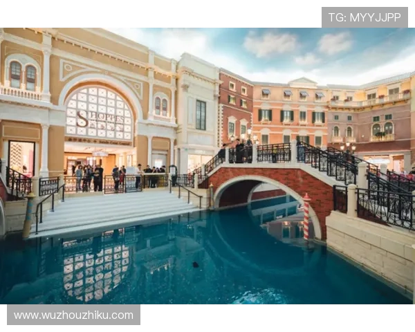 澳门威尼斯人娱乐场丰富的娱乐项目介绍，满足不同玩家的多样化需求