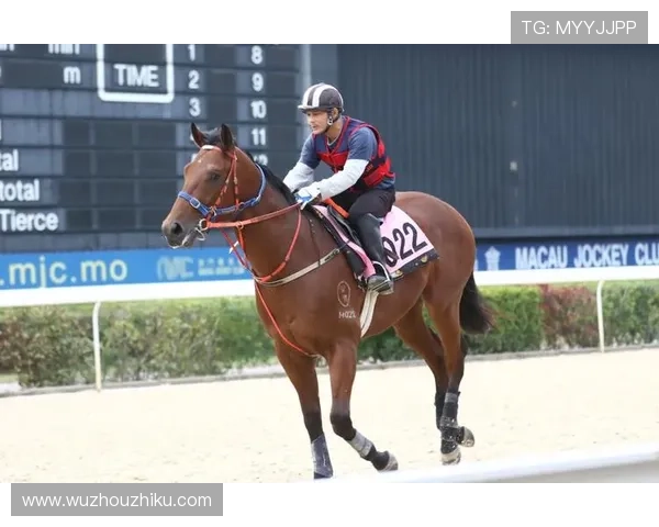 2026年最新赛马会官网地址更新信息,确保用户第一时间掌握官方入口变化 2026年最新赛马会官网地址更新信息,确保用户第一时间掌握官方入口变化