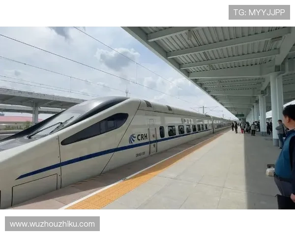 如何高效利用澳门十六浦码头的交通设施实现便捷出行体验