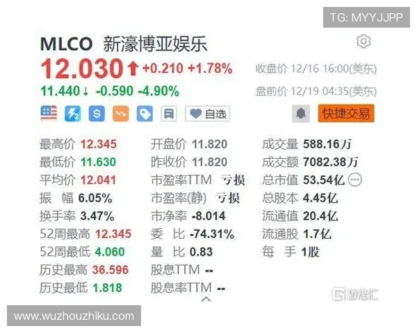 澳门新濠博亚娱乐有限公司的品牌建设与国际化发展策略探讨